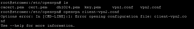 openvpn client1.jpg